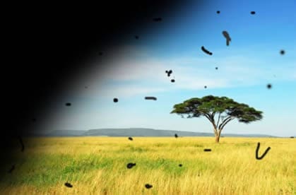 La visión con un desprendimiento de retina se ve comprometida en un campo visual lateral al principio y luego se extiende a todo el campo visual.